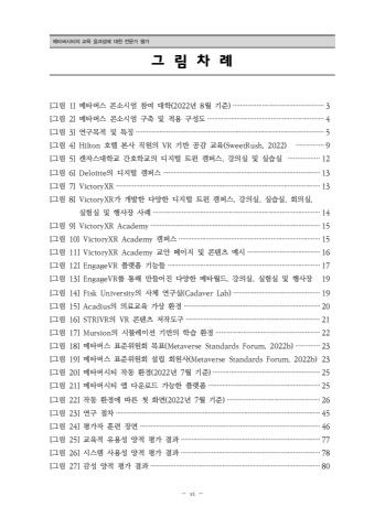 메타버시티의 교육 효과성에 대한 전문가 평가 표지