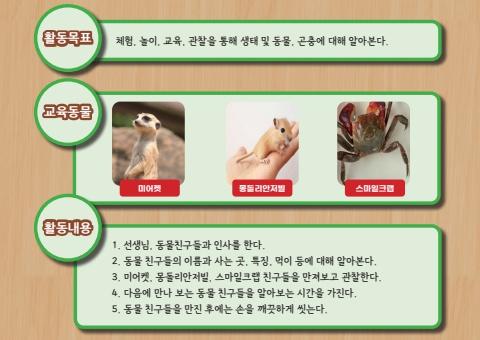 쥬니멀 표지