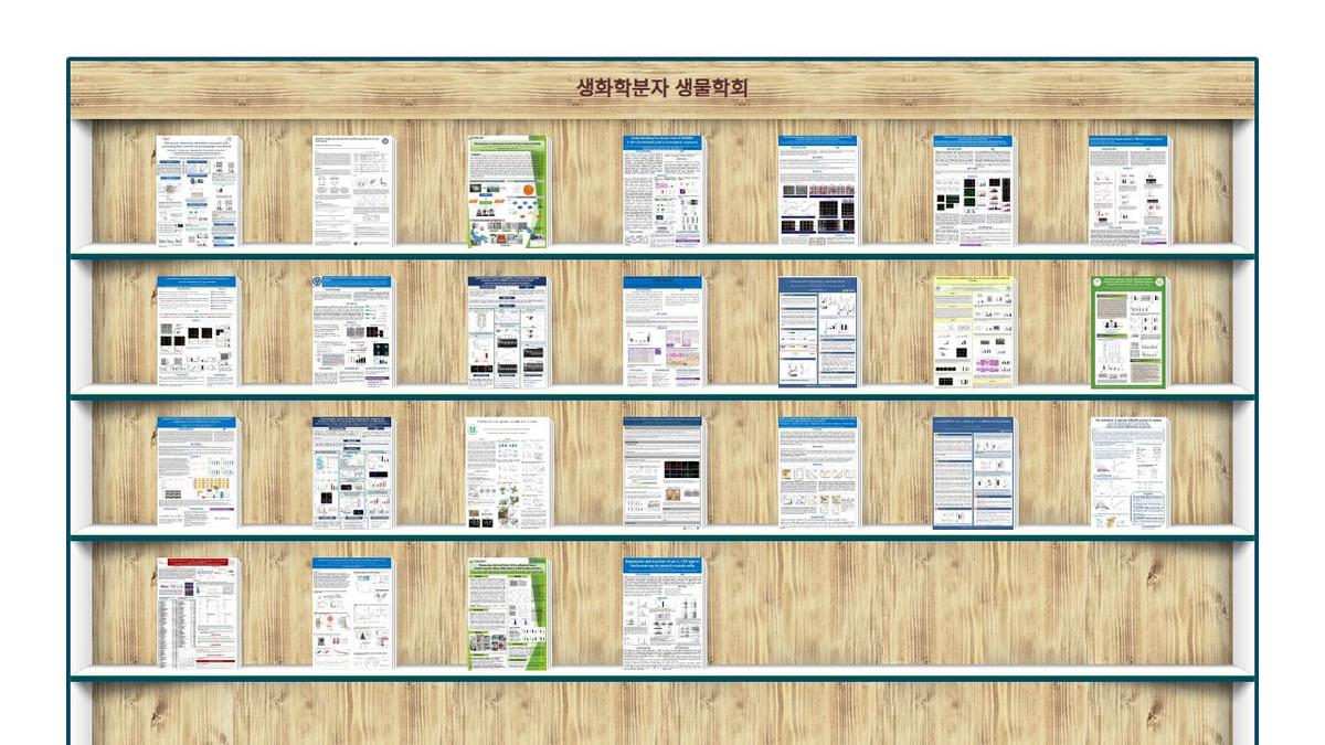 ebookcase 표지