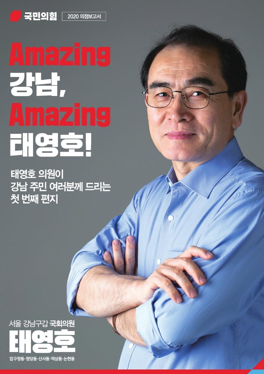 태영호국회의원 2020의정보고서 표지