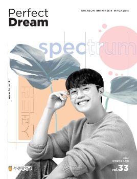 perfect dream 표지