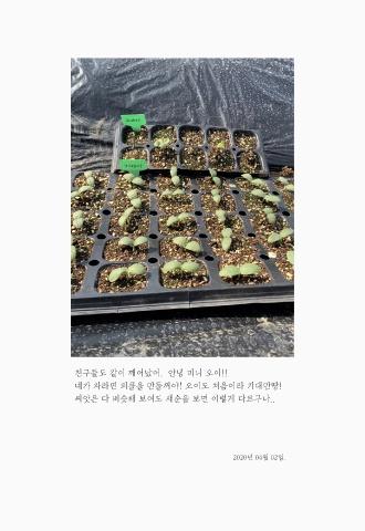 농사적 예술하기 표지
