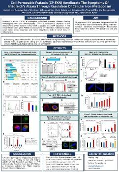 P. Molecular medicine and imaging 표지