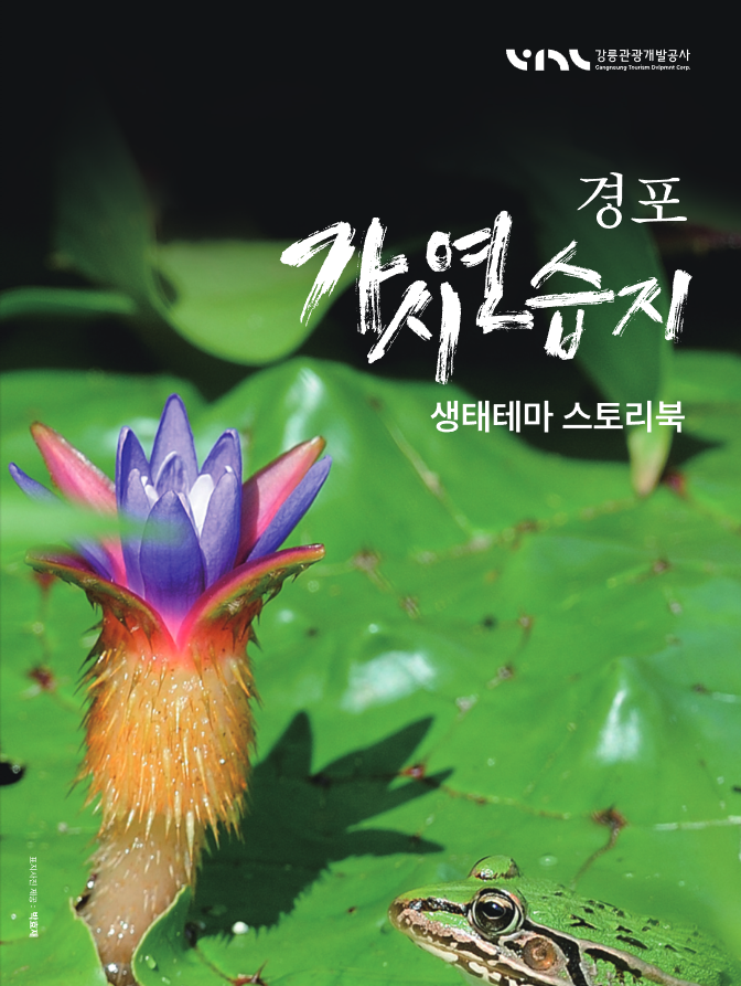 경포 가시연습지 생태테마 스토리북 표지