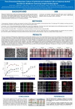 E. Cell adhesion and cytoskeletal dynamics 표지