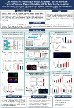 P. Molecular medicine and imaging 표지