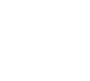 디메이드