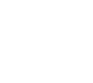 배현진의원 의정보고서