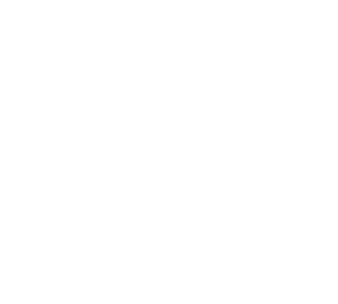 국민의힘