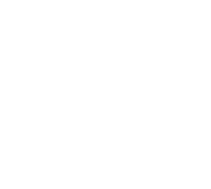 더불어민주당